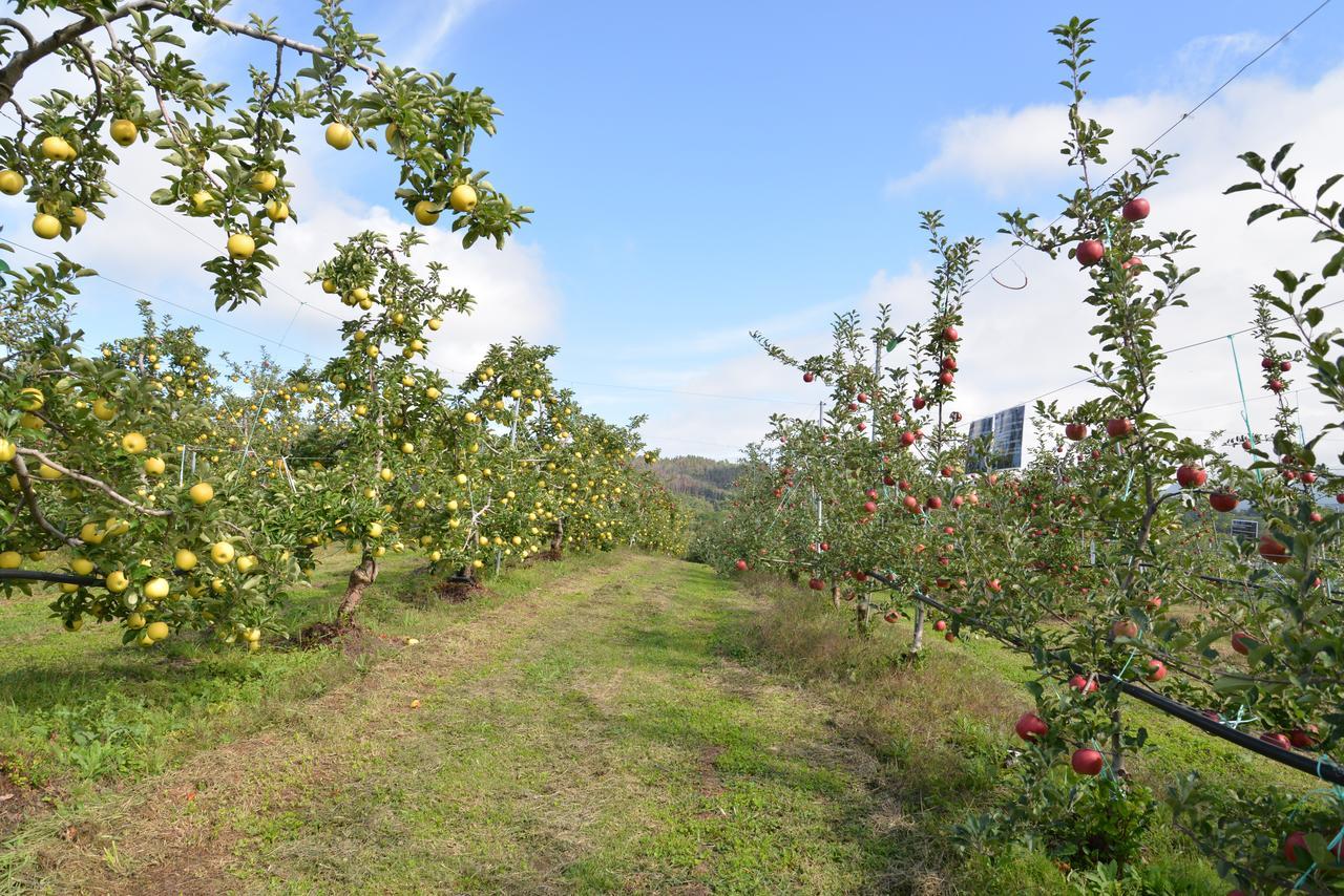 Homestay Shinshu Yokoya Farm